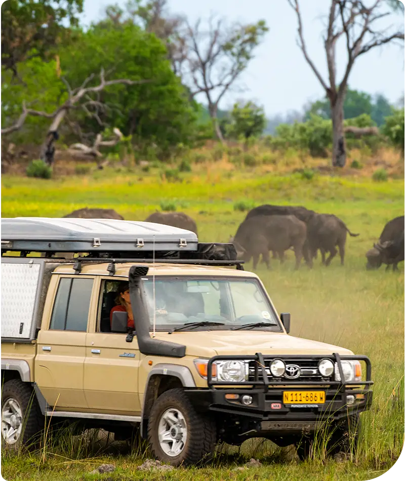 Autohuur-Namibië-Self-Drive-Safari