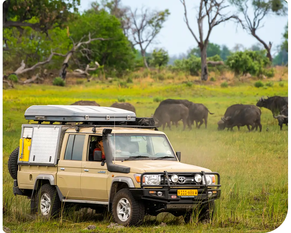 Autohuur-Namibië-Self-Drive-Safari